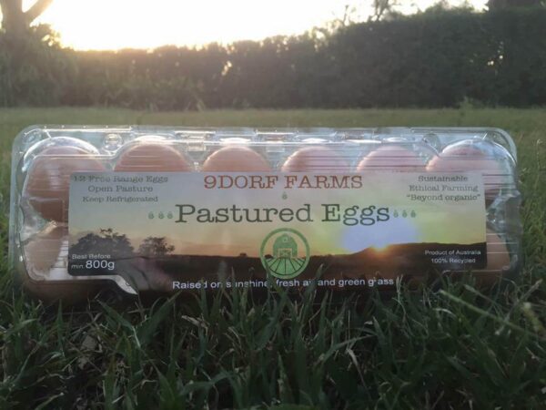 A box of 9Dorf Farms pastured eggs