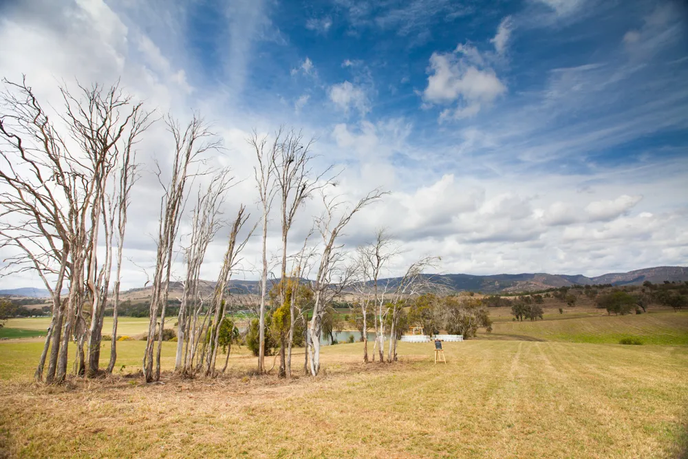 Trees and fields at Lilydale Estate, 9Dorf Farms.