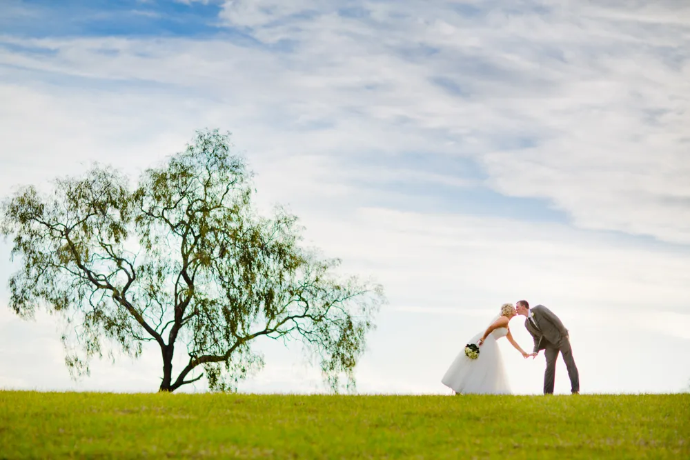 A bride and groom kissing by a tree at Lilydale Estate, 9Dorf Farms.